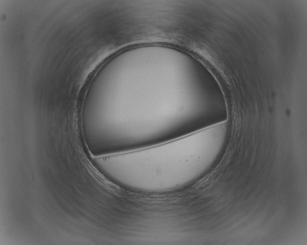 X0000070181460200605260928