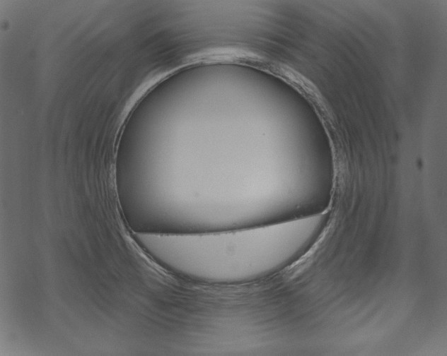 X0000070181473200605260928