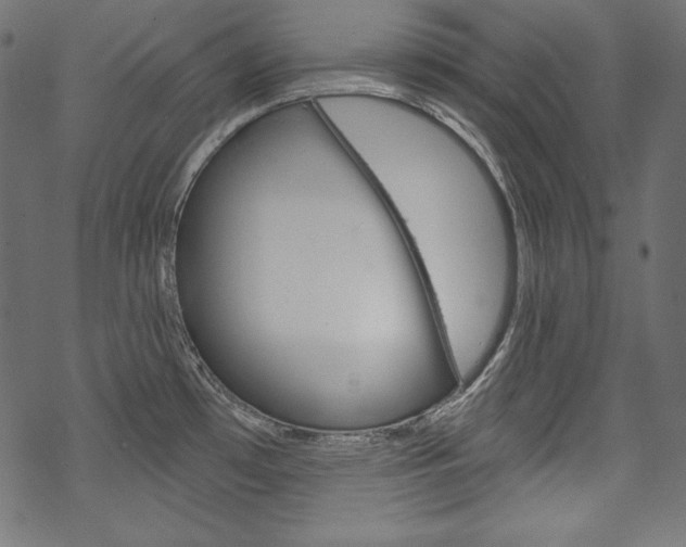 X0000070181481200605260927