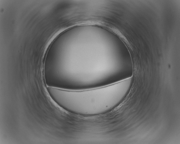 X0000070181484200605260927