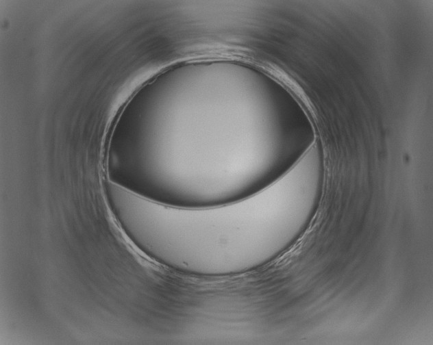 X0000070181485200605260927