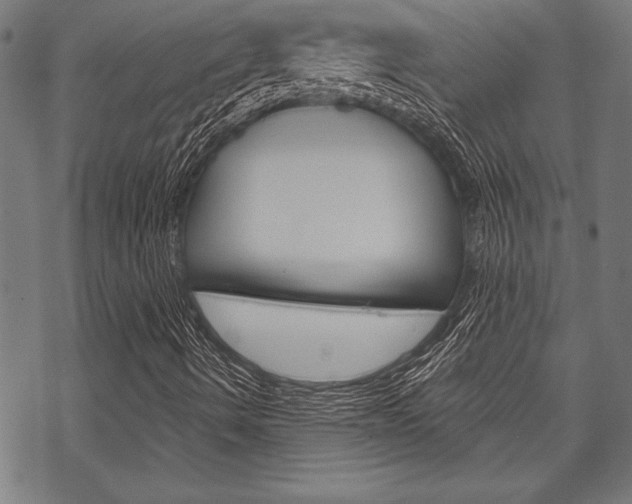 X0000070181490200605260927
