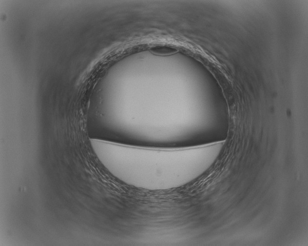 X0000070181495200605260927
