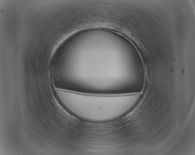 X0000070181500200605260927