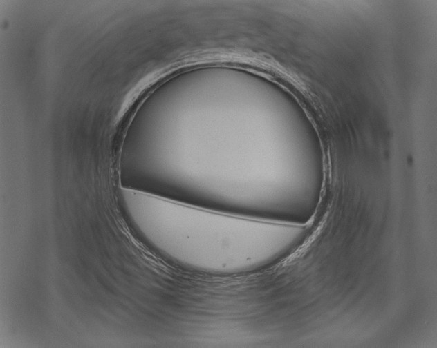 X0000070181501200605260927
