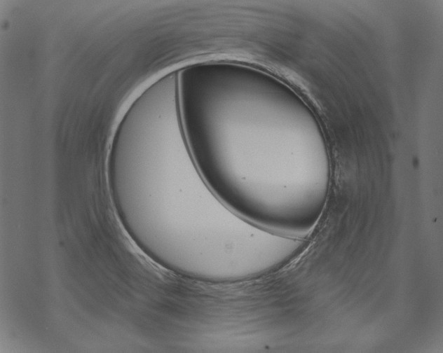 X0000070181516200605260927