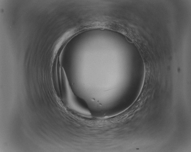 X0000070180006200605261144