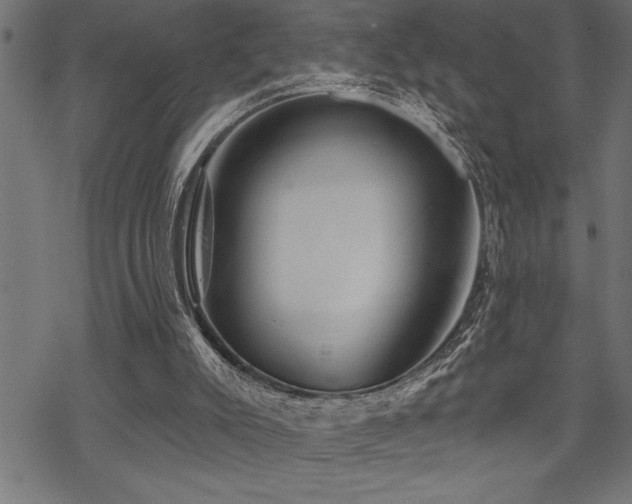 X0000070180007200605261144