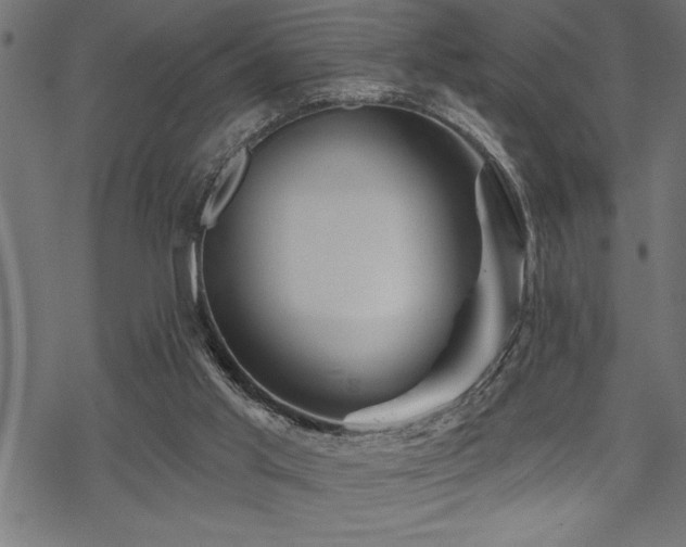 X0000070180013200605261144