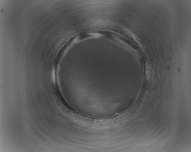 X0000070180027200605261144
