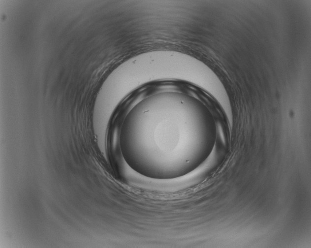 X0000070180043200605261143