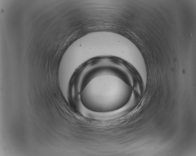 X0000070180045200605261143
