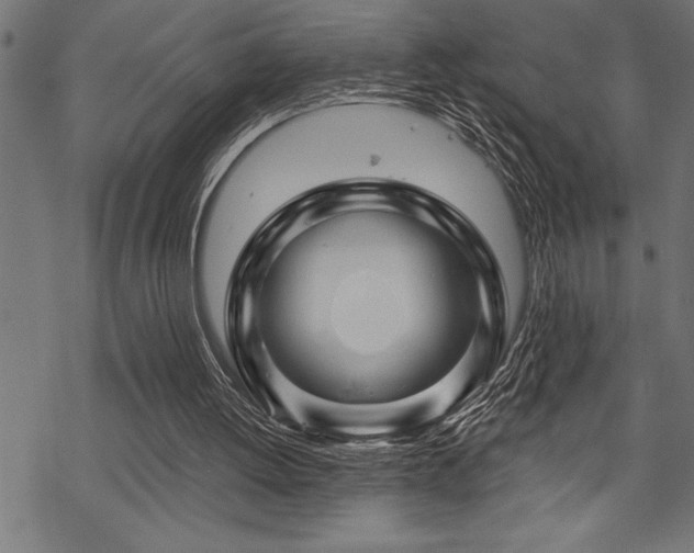 X0000070180052200605261143