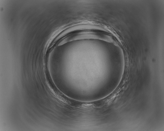 X0000070180055200605261143