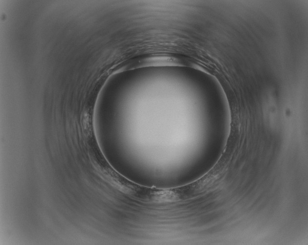 X0000070180087200605261143