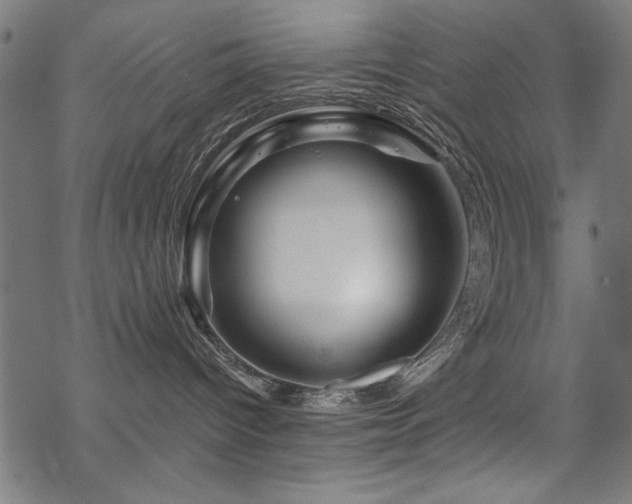 X0000070180096200605261143