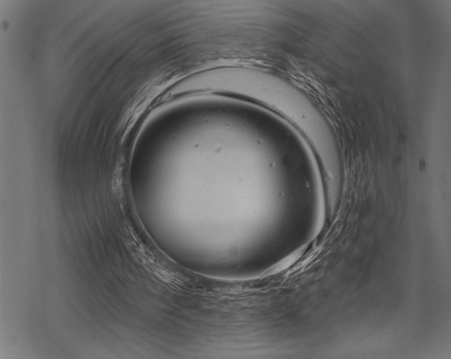X0000070180098200605261143