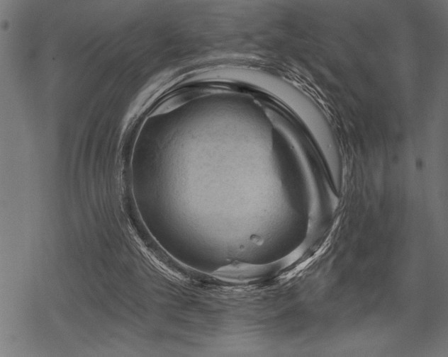 X0000070180101200605261142