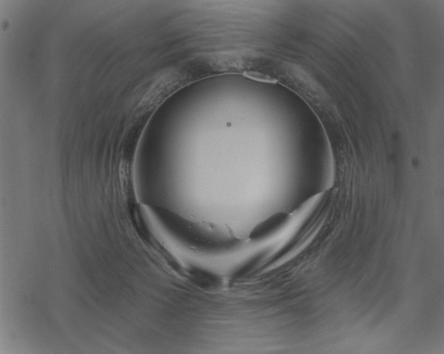 X0000070180125200605261142
