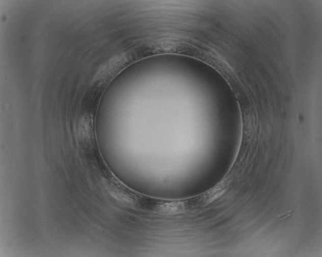 X0000070180126200605261142