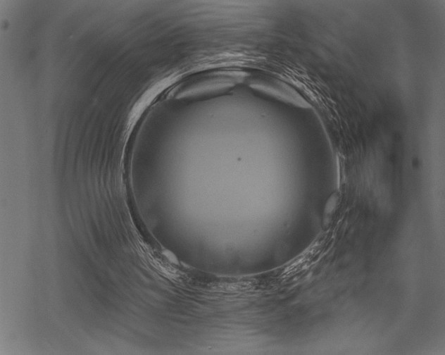 X0000070180147200605261141