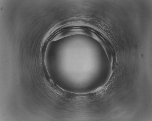 X0000070180150200605261141