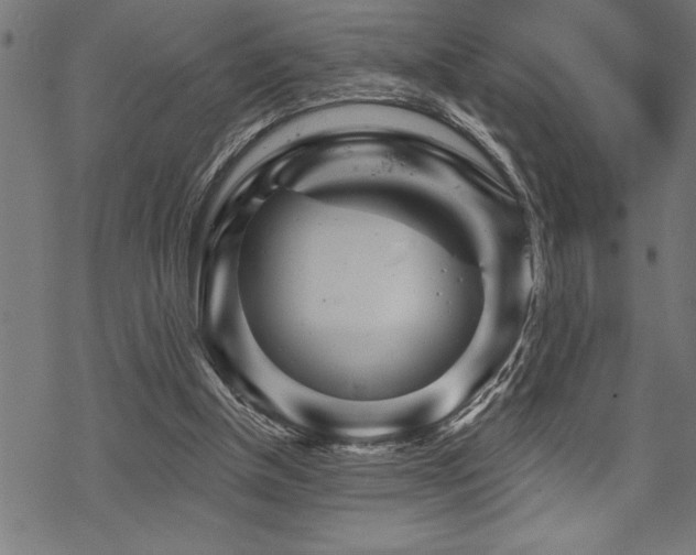 X0000070180154200605261141