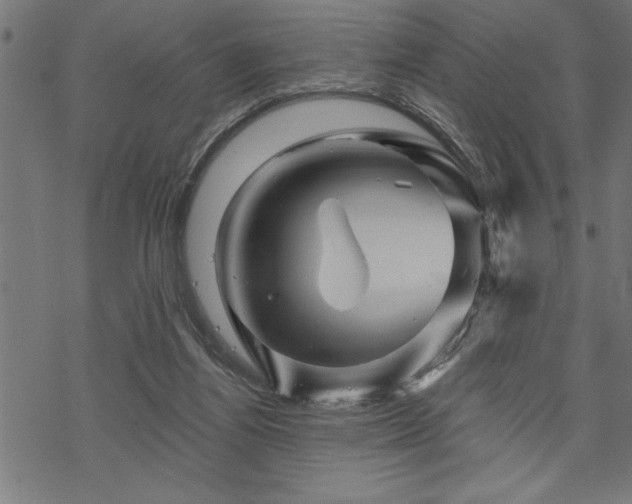 X0000070180164200605261141