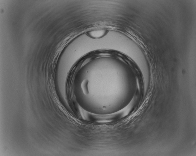 X0000070180193200605261141