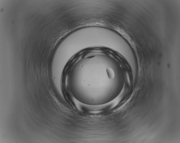 X0000070180201200605261141