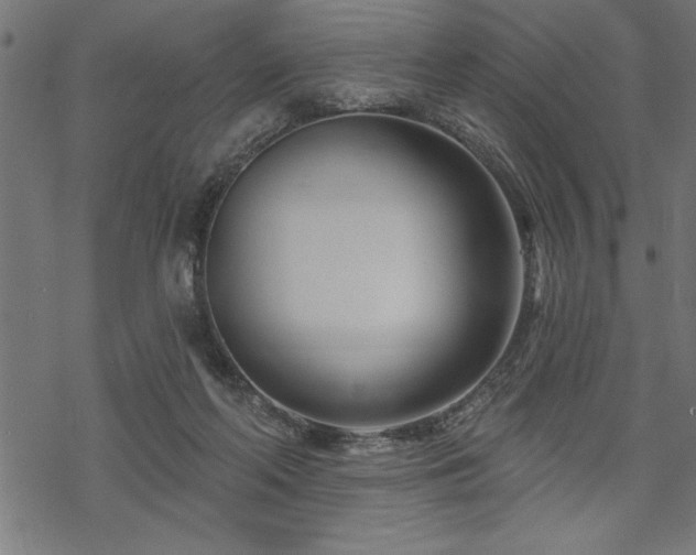 X0000070180214200605261141
