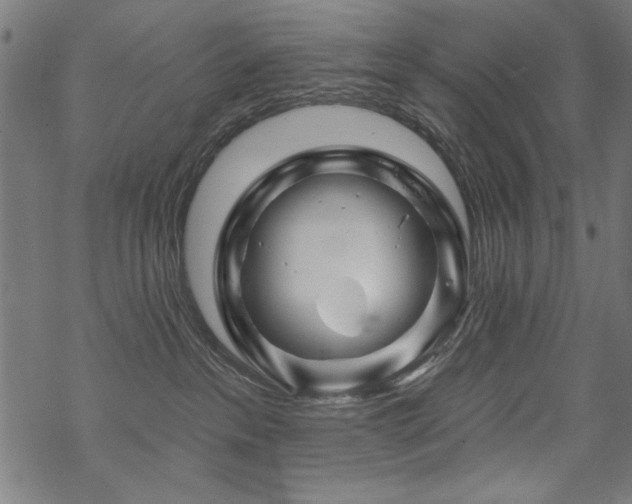 X0000070180237200605261140