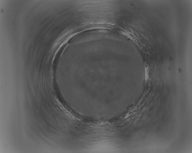 X0000070180243200605261139