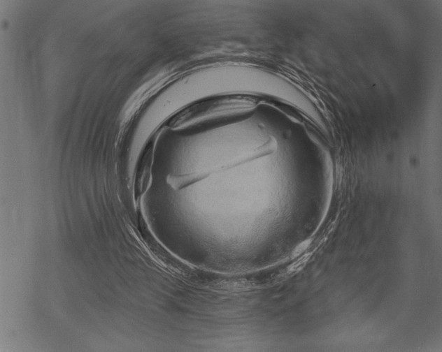 X0000070180245200605261140