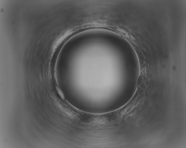 X0000070180248200605261140