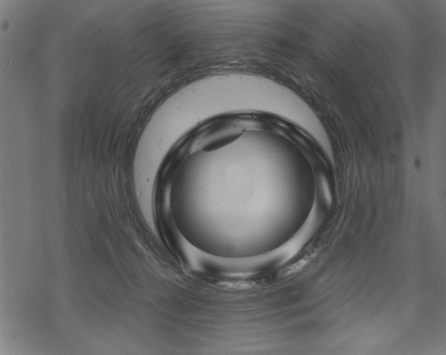 X0000070180272200605261140