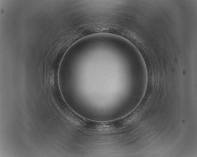 X0000070180315200605261139