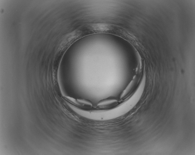 X0000070180330200605261139