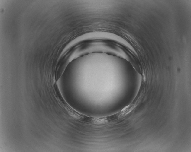 X0000070180333200605261139