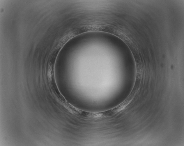X0000070180334200605261139