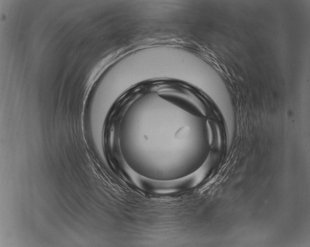 X0000070180340200605261138