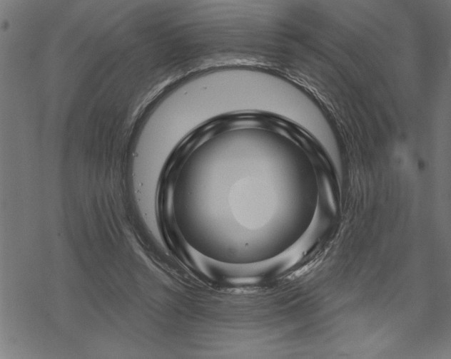 X0000070180352200605261138
