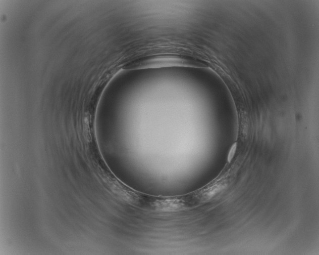 X0000070180378200605261139