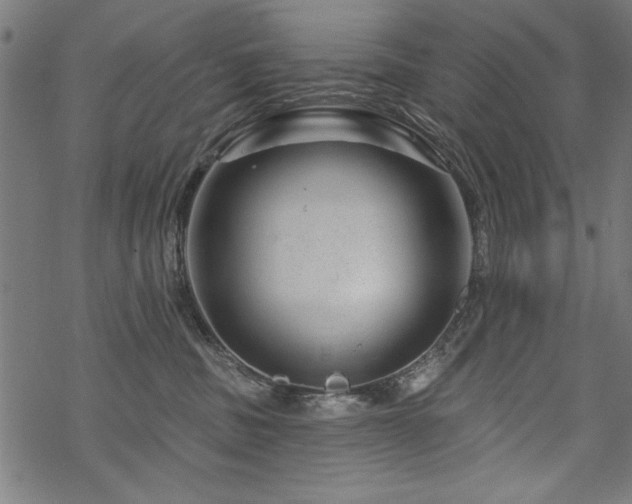 X0000070180379200605261139