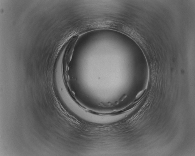 X0000070180386200605261138