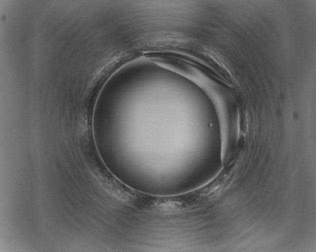 X0000070180407200605261138