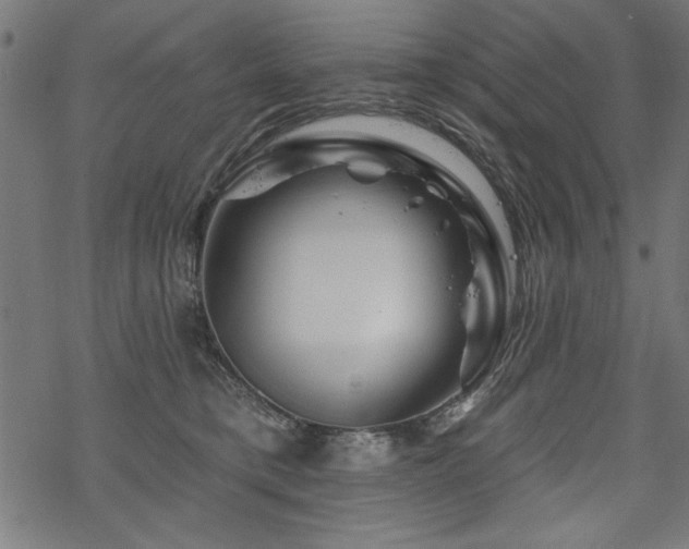 X0000070180421200605261137