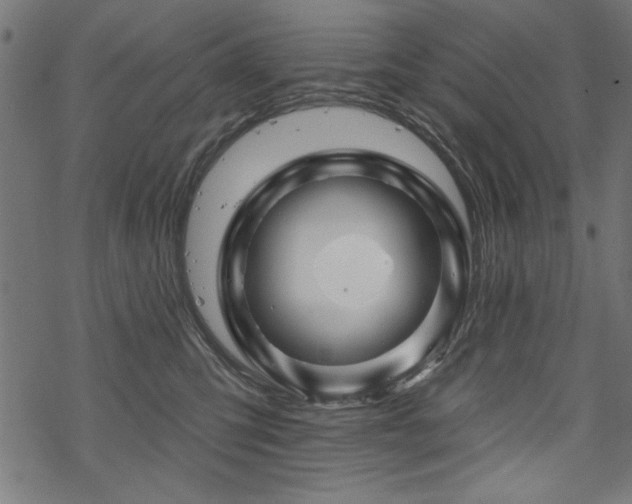 X0000070180423200605261137
