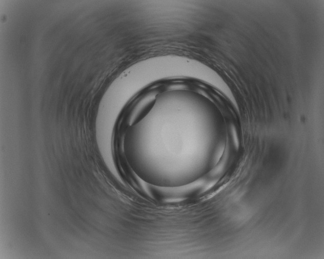 X0000070180424200605261137