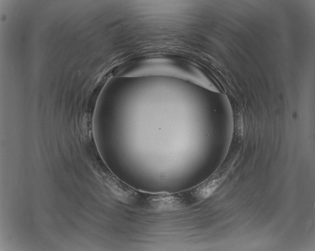X0000070180428200605261137